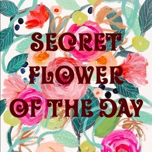 Secret Flower Of The Day is returning!